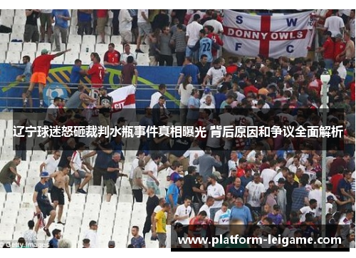 辽宁球迷怒砸裁判水瓶事件真相曝光 背后原因和争议全面解析