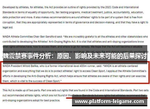 魏震禁赛事件分析：原因、影响及未来可能的后果探讨