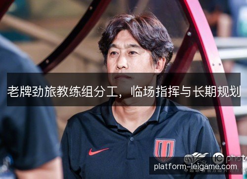 老牌劲旅教练组分工,临场指挥与长期规划 老牌劲旅教练组分工,临场指挥与长期规划